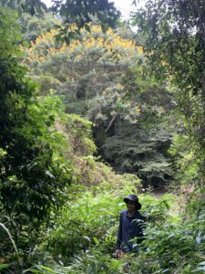IMG_7230 Khao Yai National Park